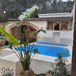 WhatsApp Image 2025-09-08 at 12.00.15 (1)